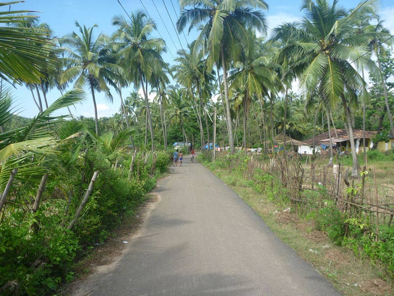 Download Scenery Of Goa