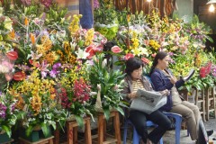 Hanoi florists