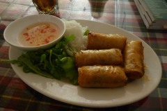 Vietnamese Fresh Spring Rolls