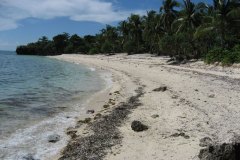 bool.village.malapascua.philippines-2