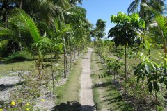 2.inland.road_.to_.kabatangan.malapascua