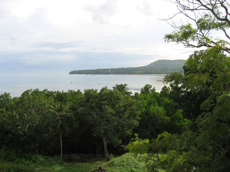 Bohol Nature Scenery