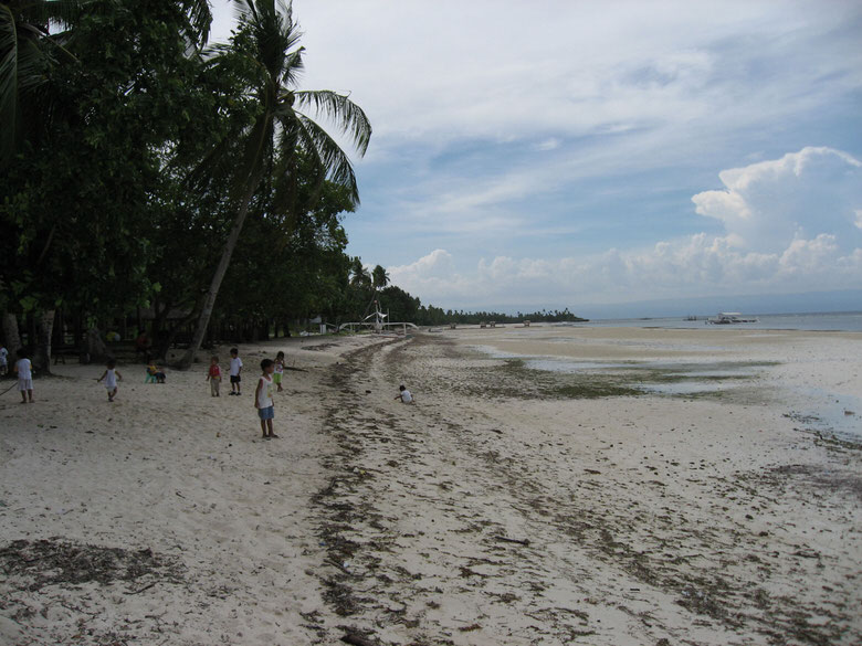 Children playing on the beach