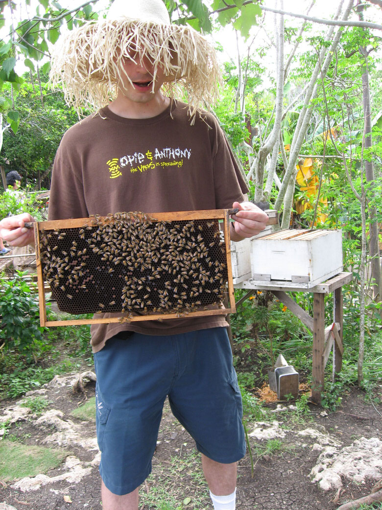 Bohol Bee Farm